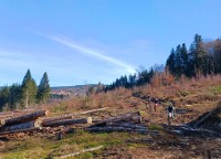 Les chemins du Livradois Forez ont besoin de nettoyage ...